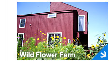 Click to see wildflowerfarm pictures